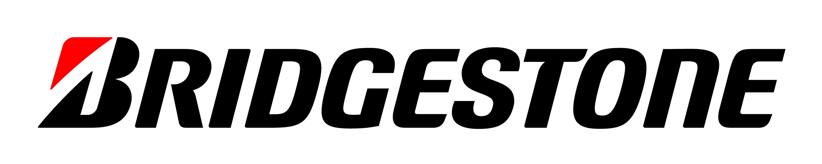 bs_logo_mit-schutzzone_rgb